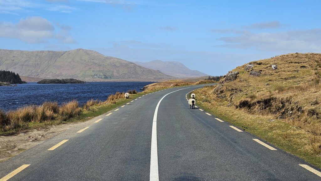 Foto Connemara - come muoversi lungo la Wild Atlantic Way